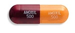 Kaufen Amoxicillin (Amoxil) ohne Rezept